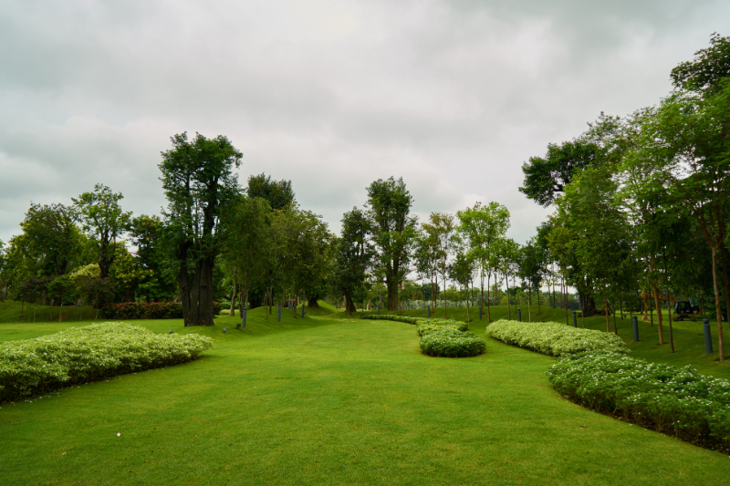 Soft Landscaping - Responsibilities Of A Landscaper 