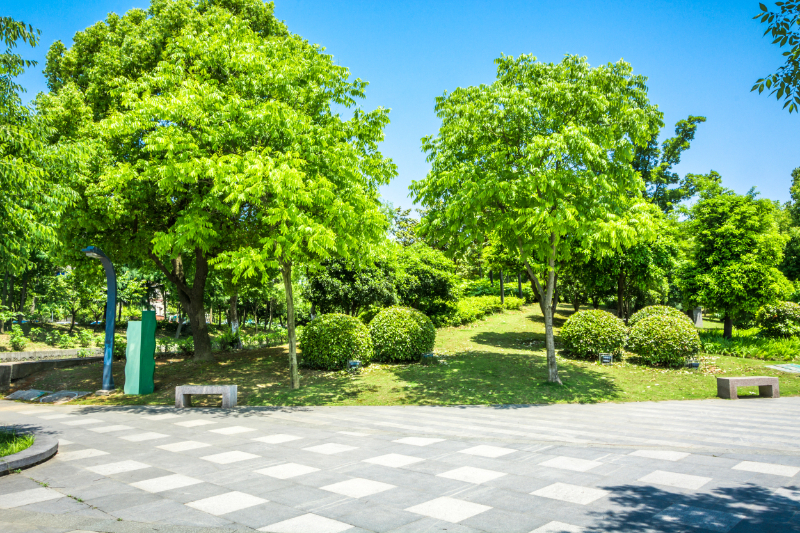 What Do Landscapers Specialise In? Landscape Gardeners Maidstone, Rochester, Kent