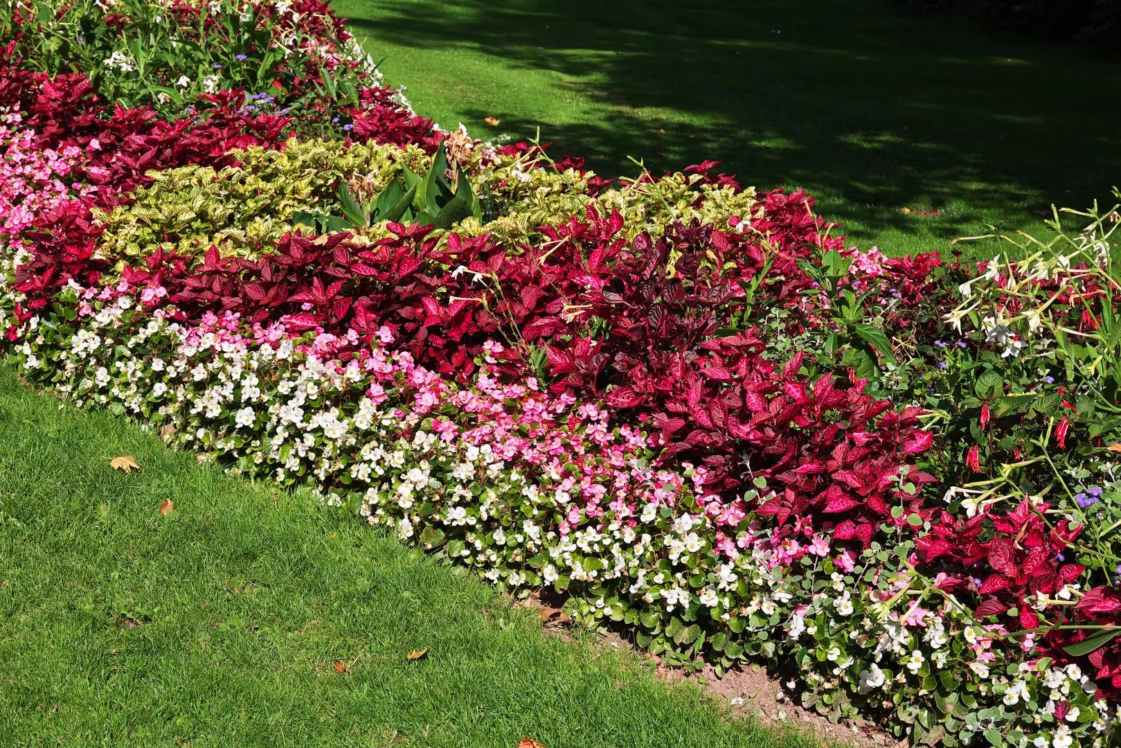 Common Garden Design Mistakes To Look Out For